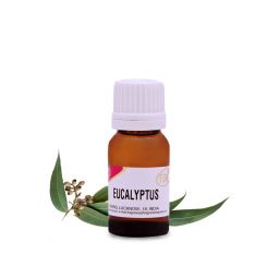 Eucalyptus, Essential Oil, 10ml